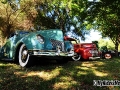 Customs and Hot Rods in the Trees